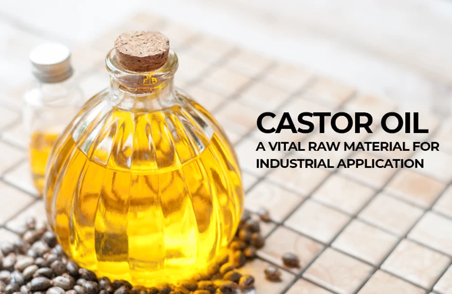 50 Unbelievable Benefits of Castor Oil You Must Know 2024