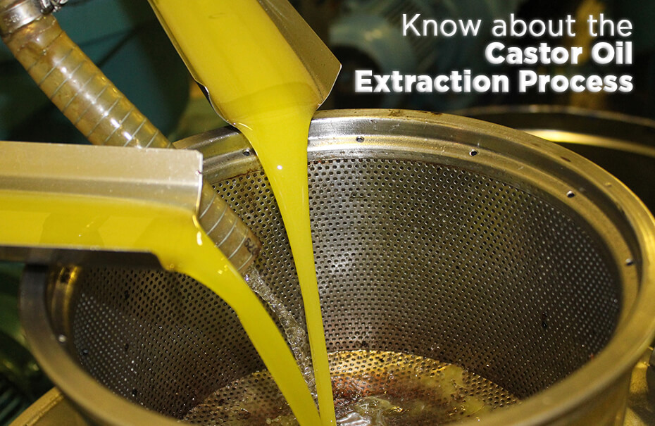 Know About The Castor Oil Extraction Process